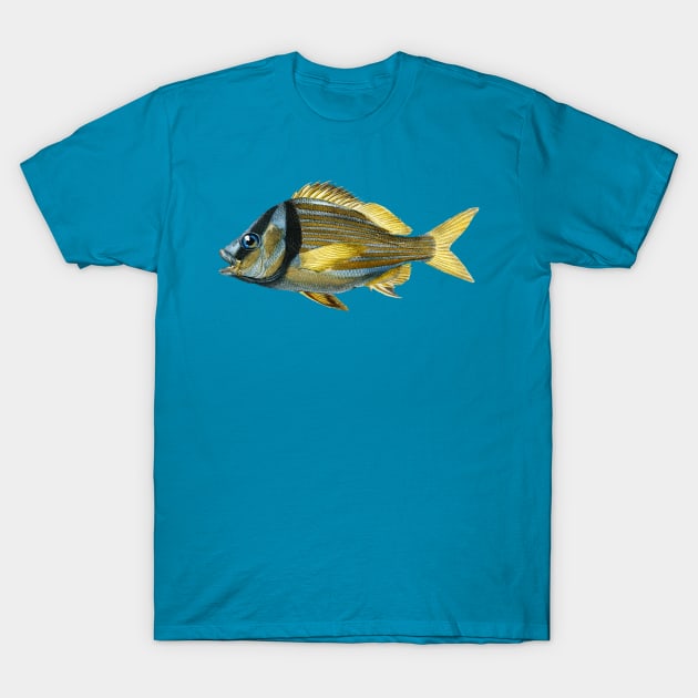 Fish T-Shirt by AnimalAddict
